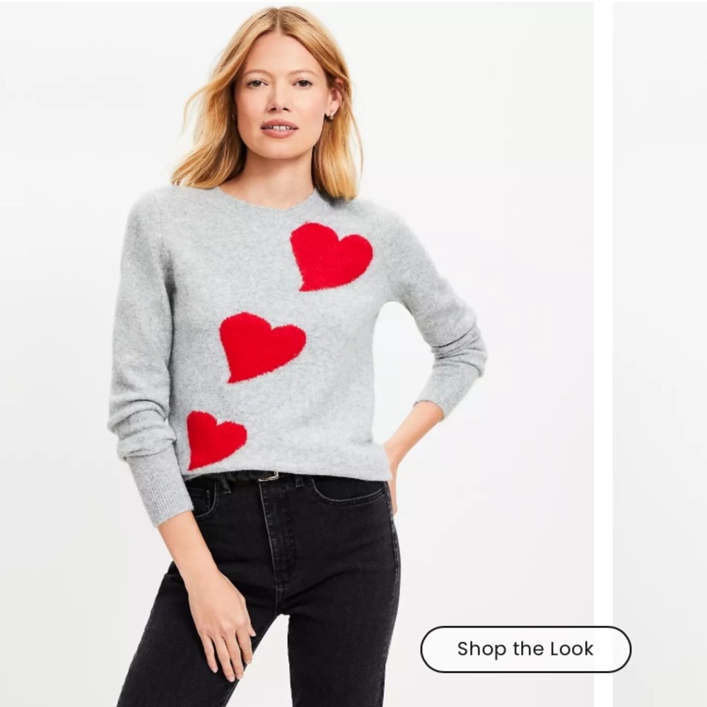NWT Loft sweater